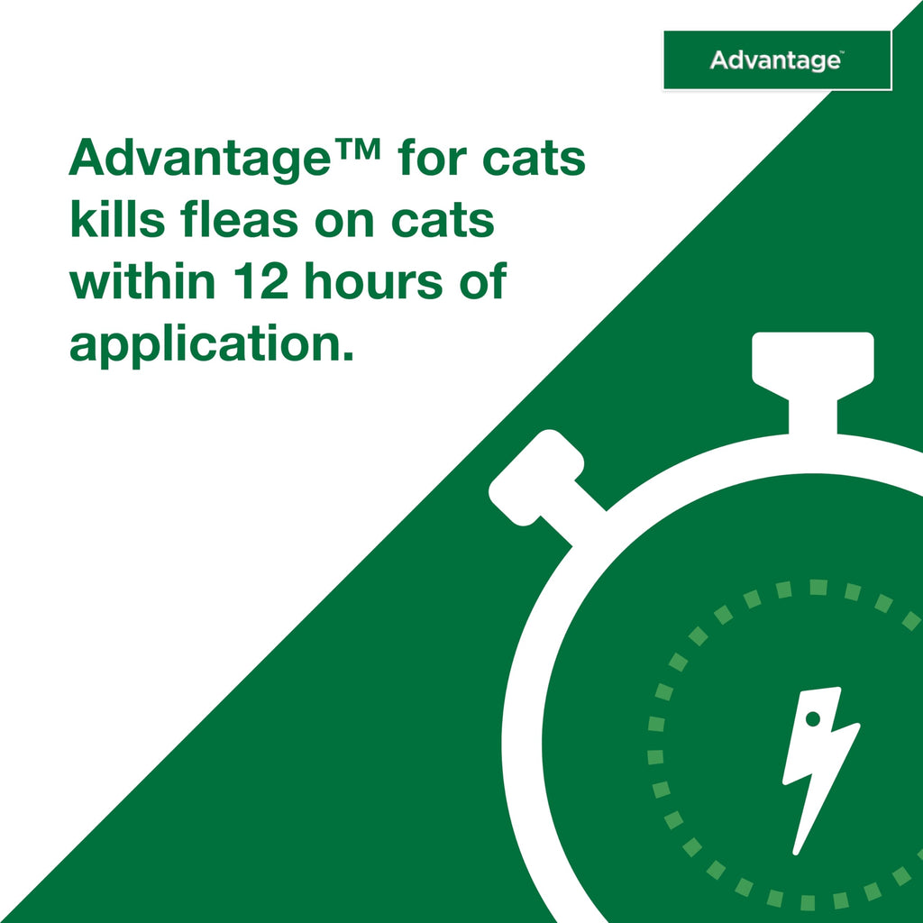 Topical Cat Flea Treatment and Prevention for Small Cats 2-9 lbs I666