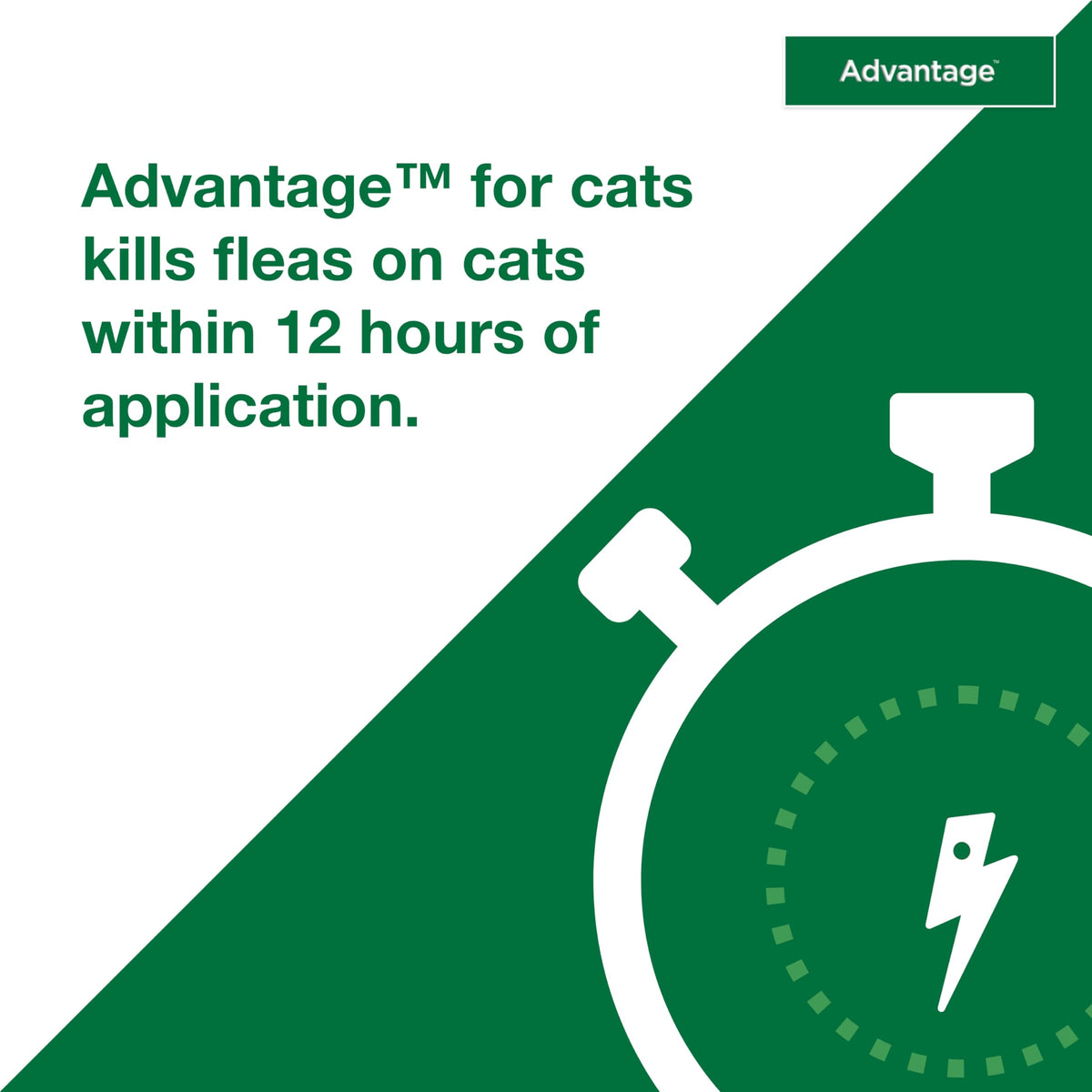 Topical Cat Flea Treatment and Prevention for Small Cats 2-9 lbs I666
