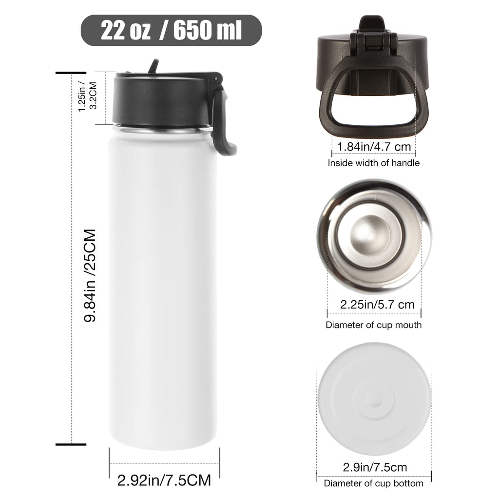 22 oz Stainless Steel Insulated Water Bottles with Straw 8 Pack E592