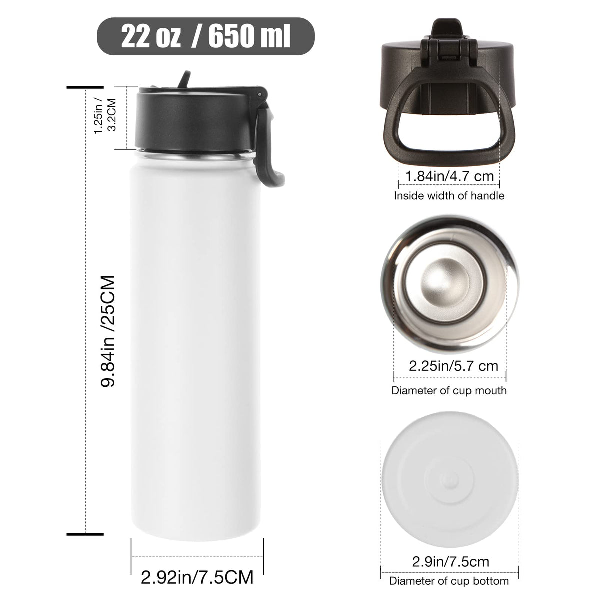 22 oz Stainless Steel Insulated Water Bottles with Straw 8 Pack E592