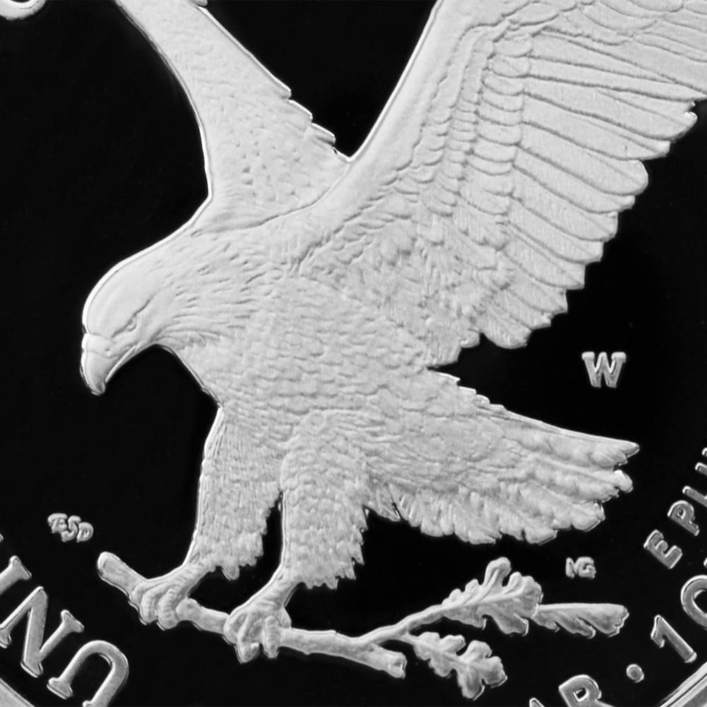 1 oz American Silver Eagle Coin F8528