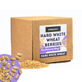 5.5 LB Dry Hard White Wheat Berries Whole Grain N6844
