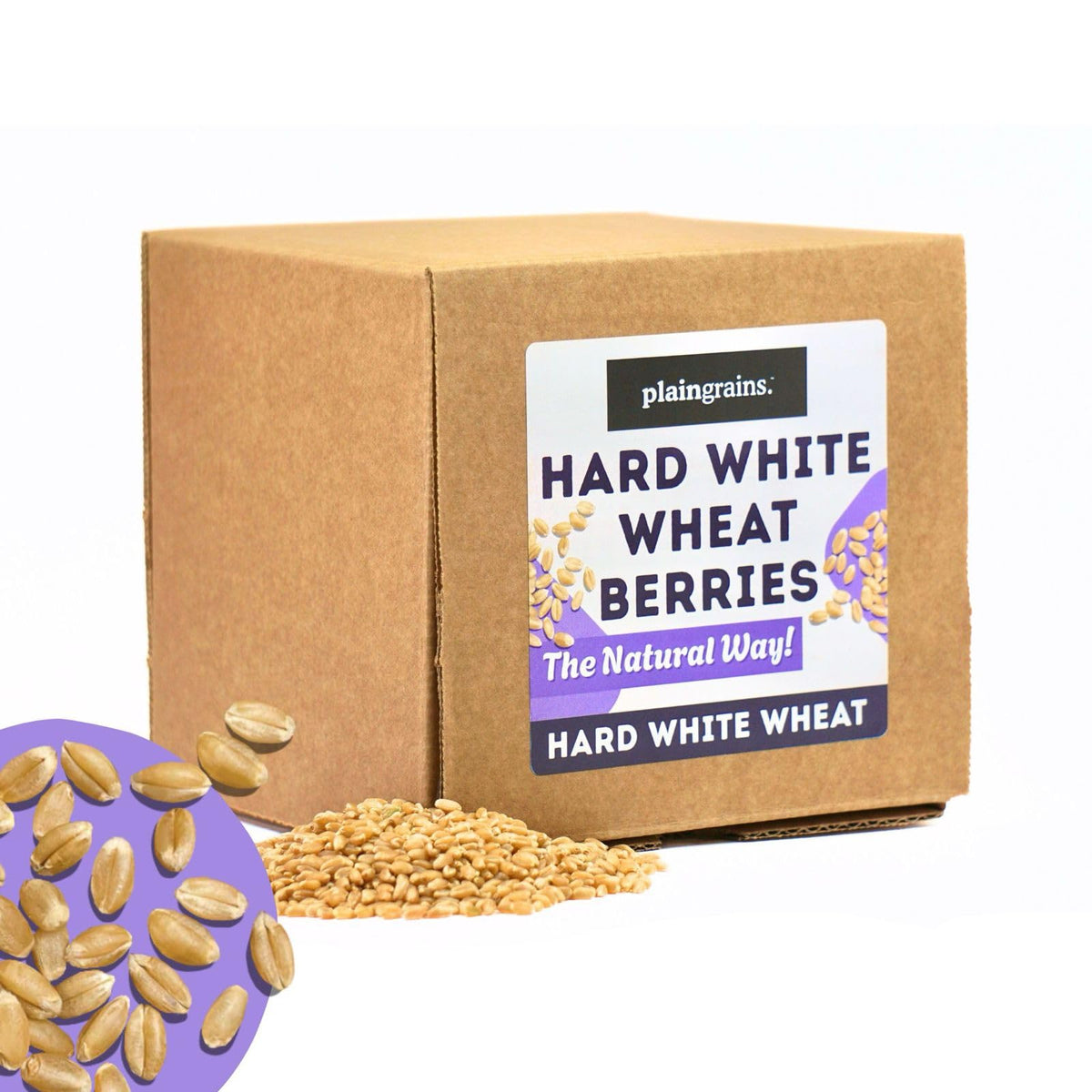 5.5 LB Dry Hard White Wheat Berries Whole Grain N6844
