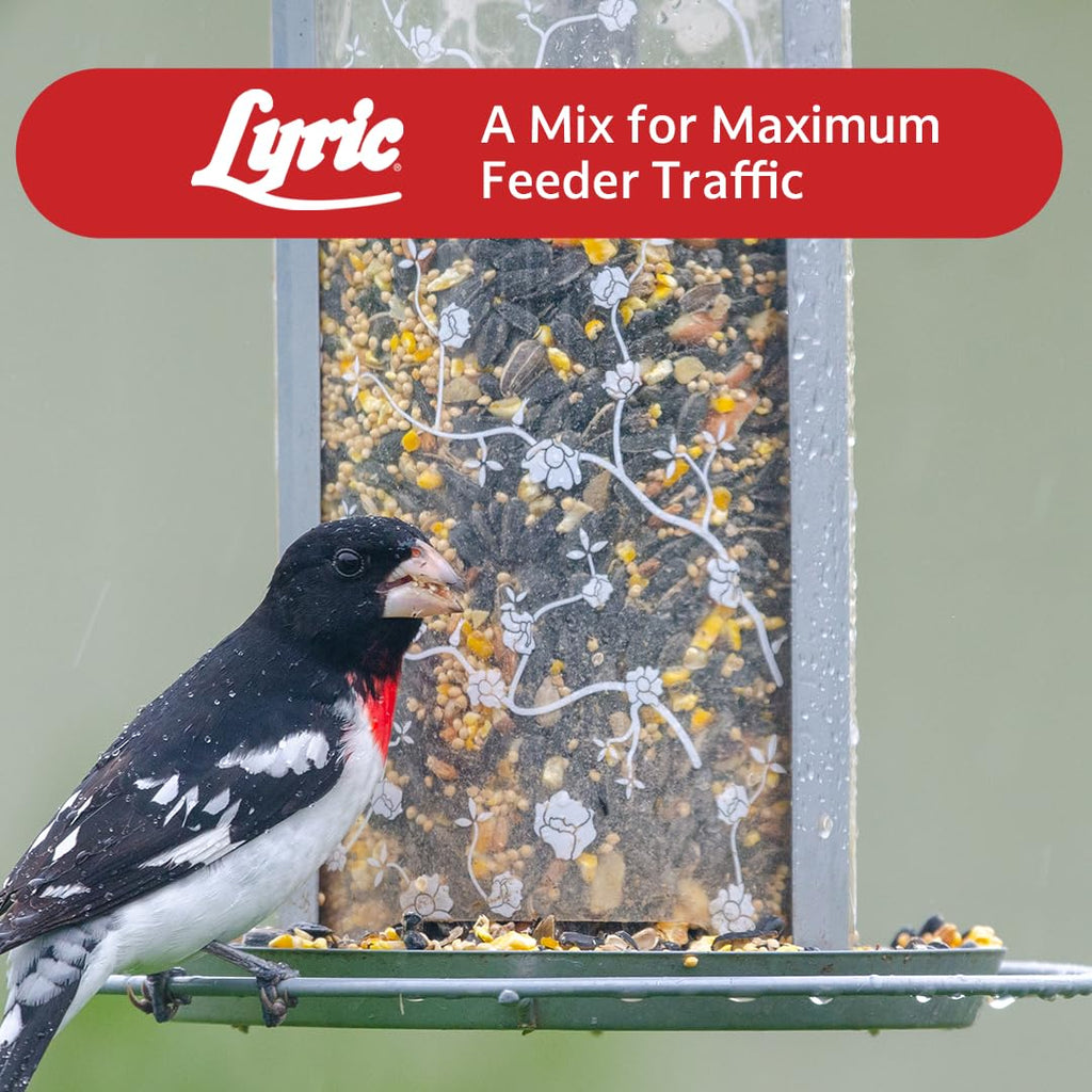 Wild Bird Seed 20 lb. Bag W403