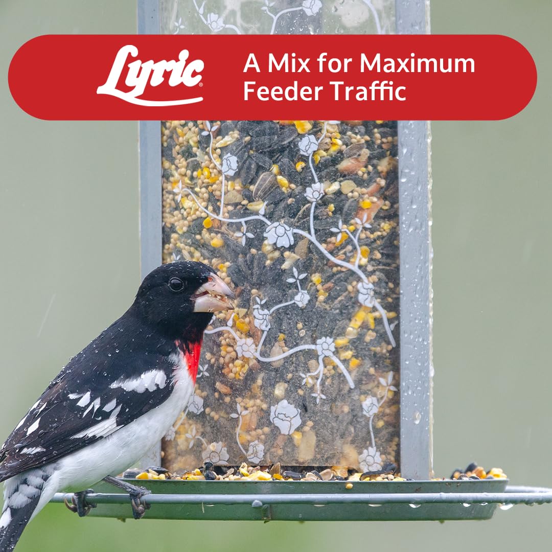 Wild Bird Seed 20 lb. Bag W403