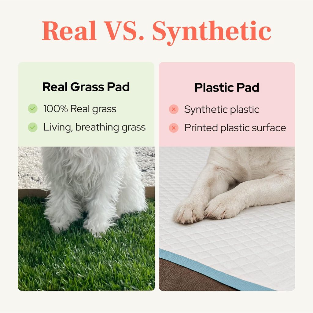 Real Grass Puppy Pads Medium 24x20 A8791