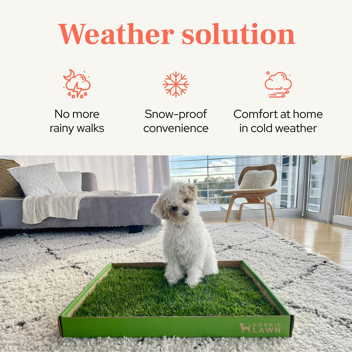 Real Grass Puppy Pads Medium 24x20 A8791