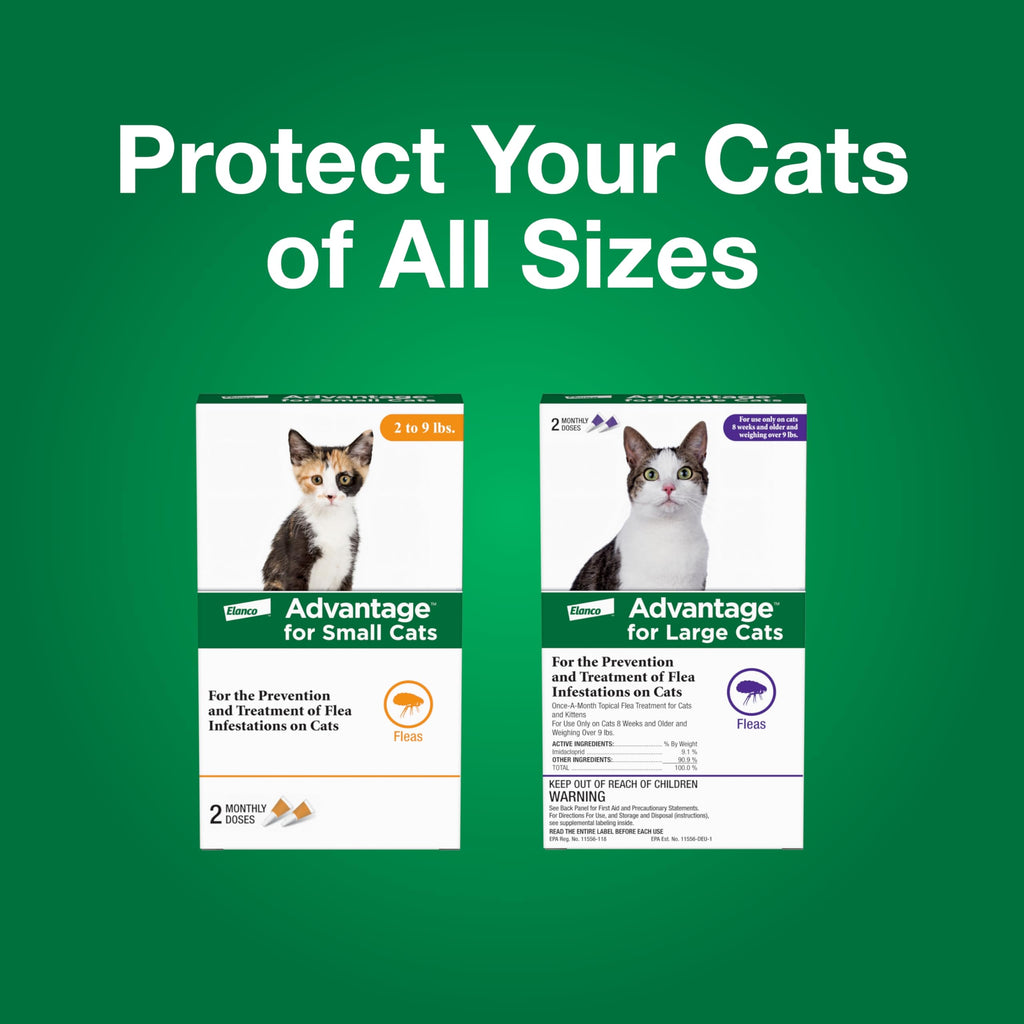 Topical Cat Flea Treatment and Prevention for Small Cats 2-9 lbs I666