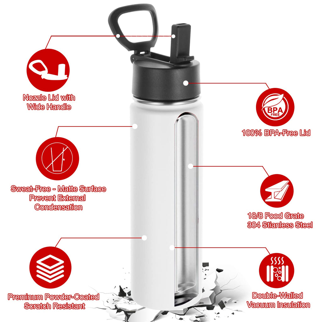 22 oz Stainless Steel Insulated Water Bottles with Straw 8 Pack E592