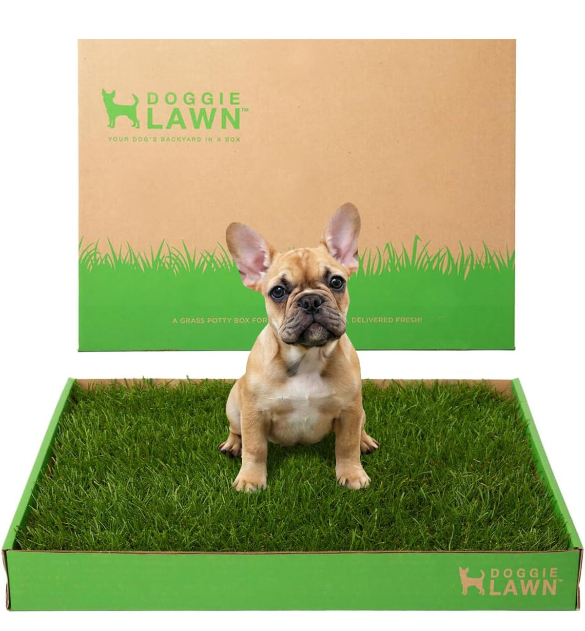 Real Grass Puppy Pads Medium 24x20 A8791