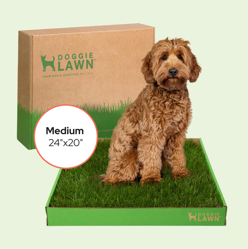 Real Grass Puppy Pads Medium 24x20 A8791