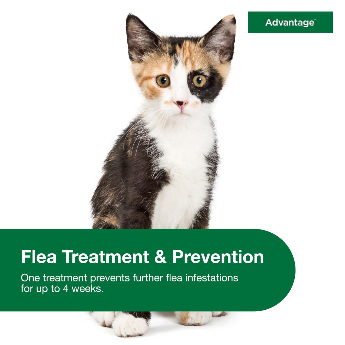 Topical Cat Flea Treatment and Prevention for Small Cats 2-9 lbs I666