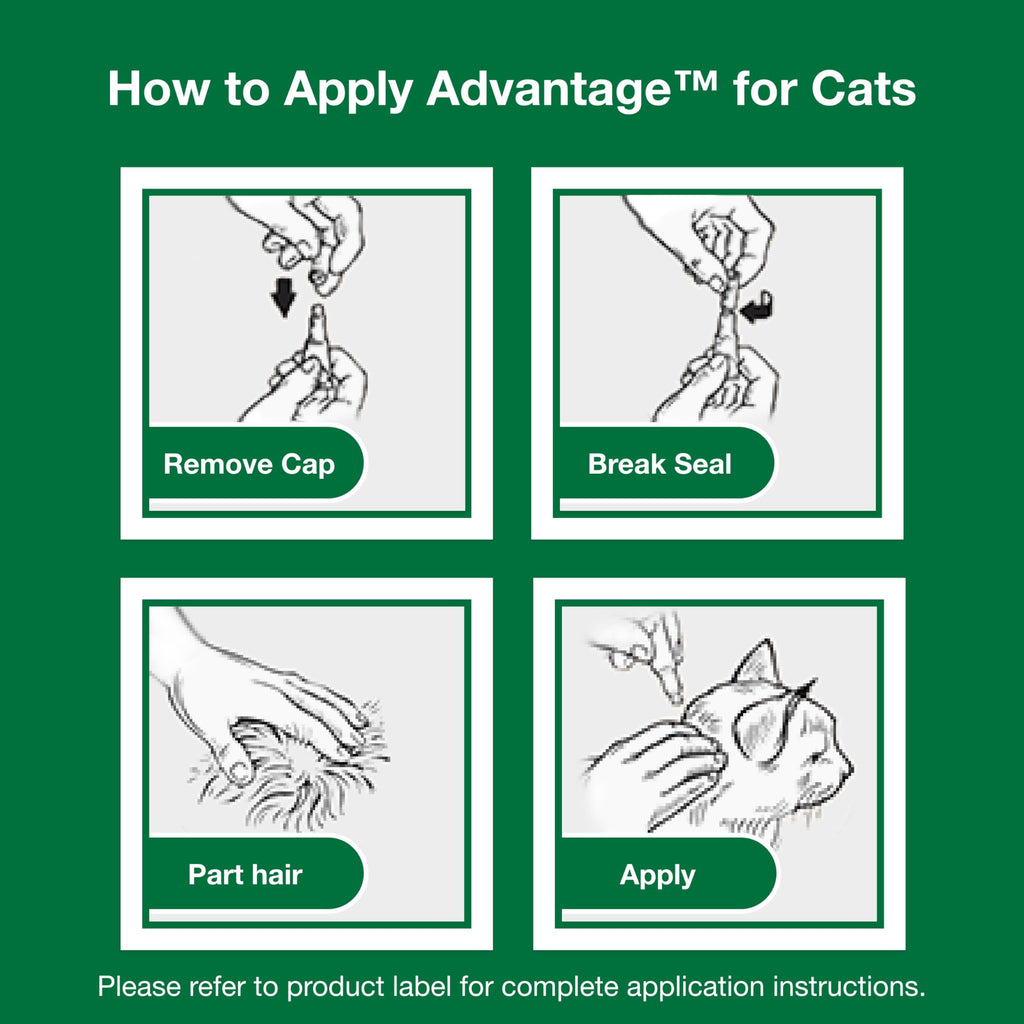 Topical Cat Flea Treatment and Prevention for Small Cats 2-9 lbs I666