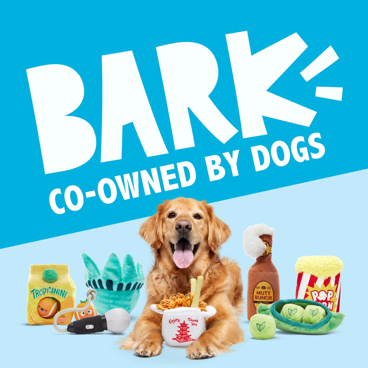 Dog Toy K2769