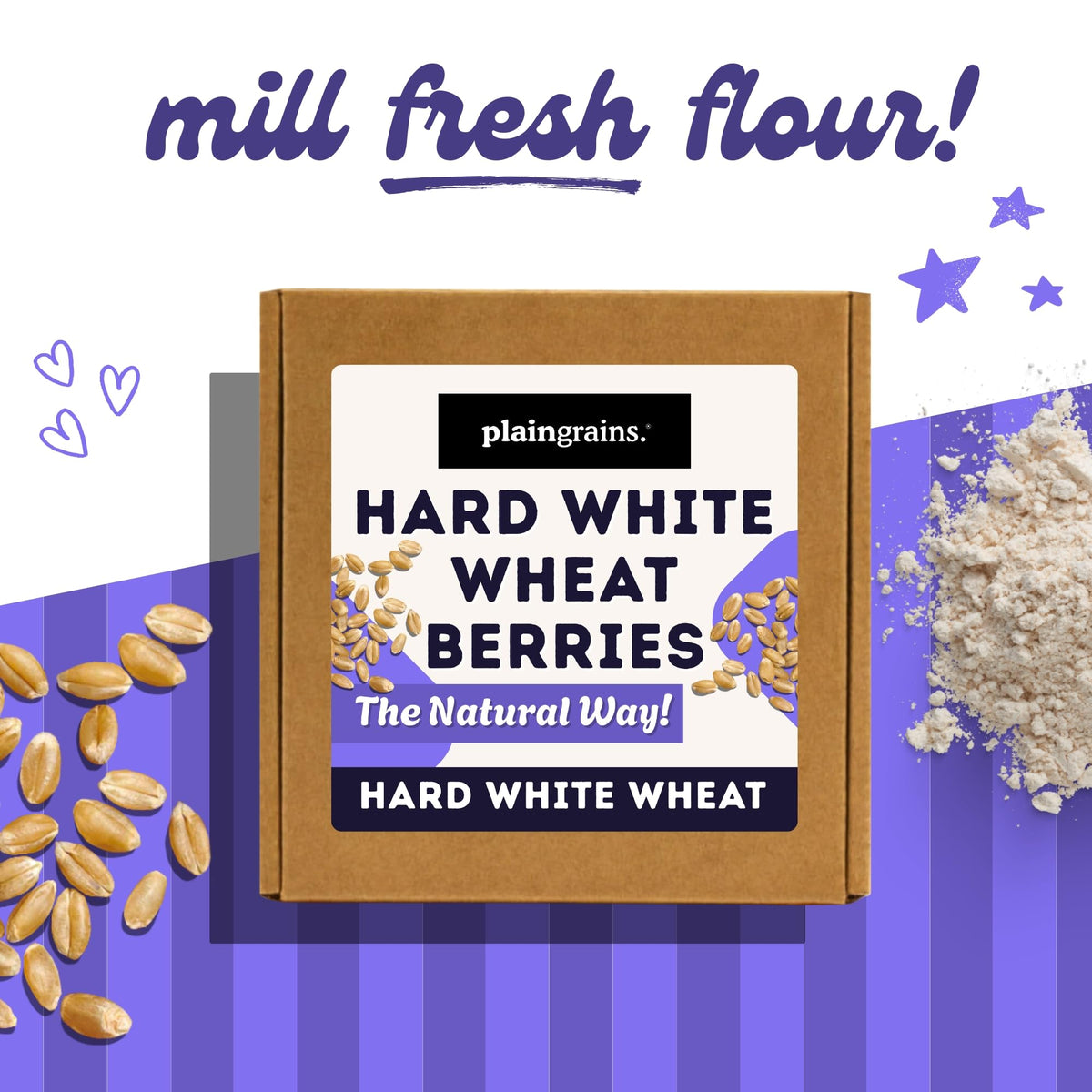5.5 LB Dry Hard White Wheat Berries Whole Grain N6844