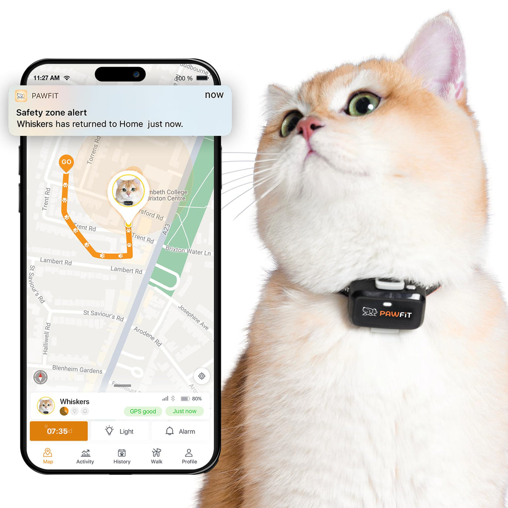 4G GPS Cat Tracker, Ultra-Light, Onyx Black U943