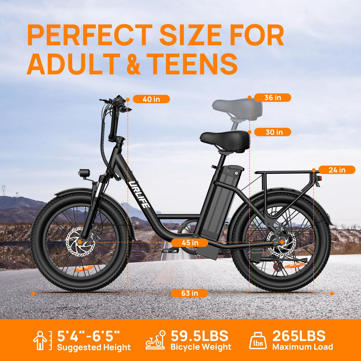 20" Fat Tire Electric Bike with 1000W Motor A69374