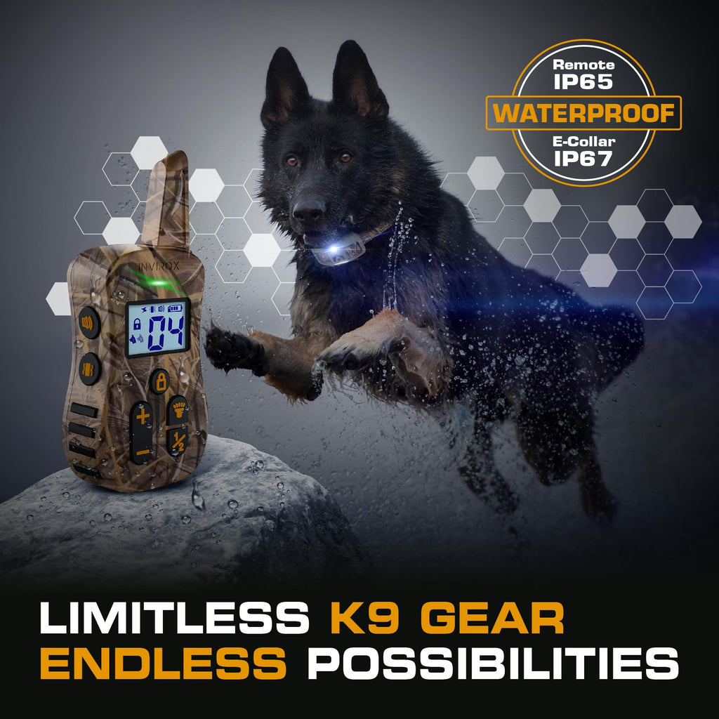 Dog Training Collar with Remote E76751