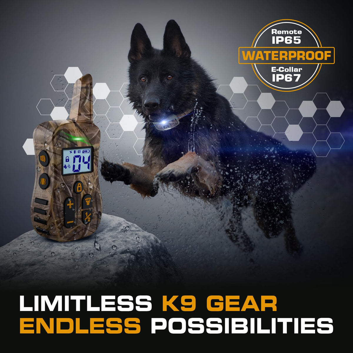Dog Training Collar with Remote E76751