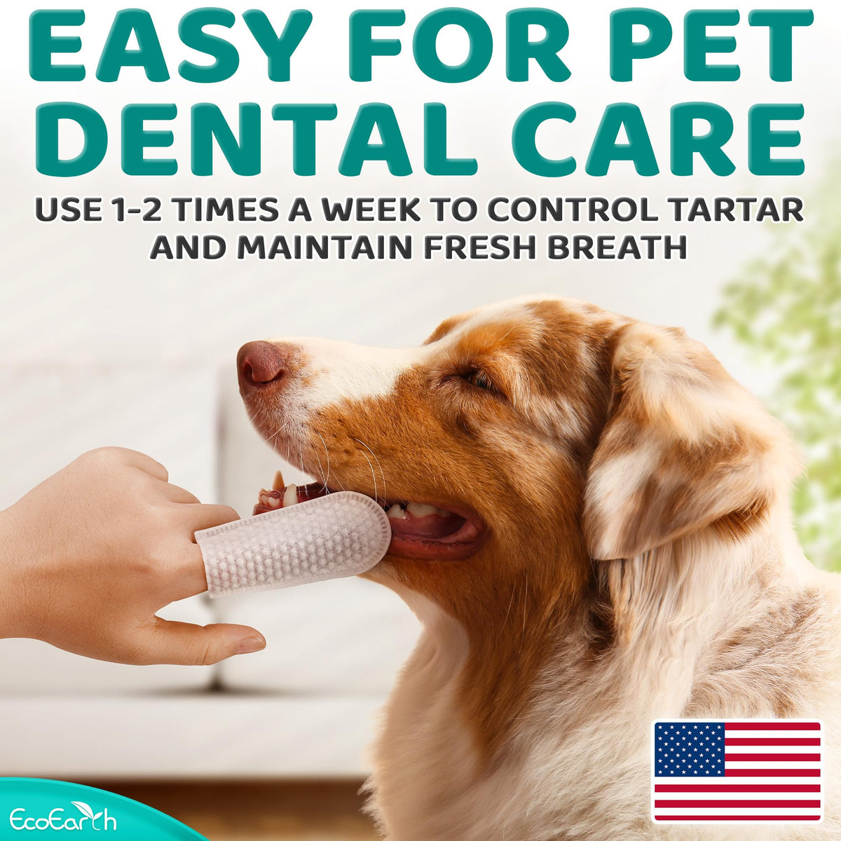 Teeth Cleaning Wipes for Dogs and Cats, 50 pc C384460