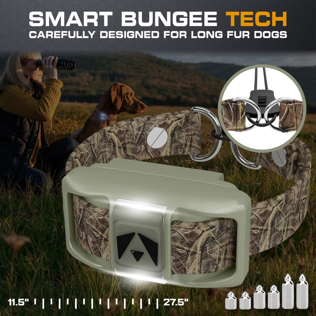 Dog Training Collar with Remote E76751