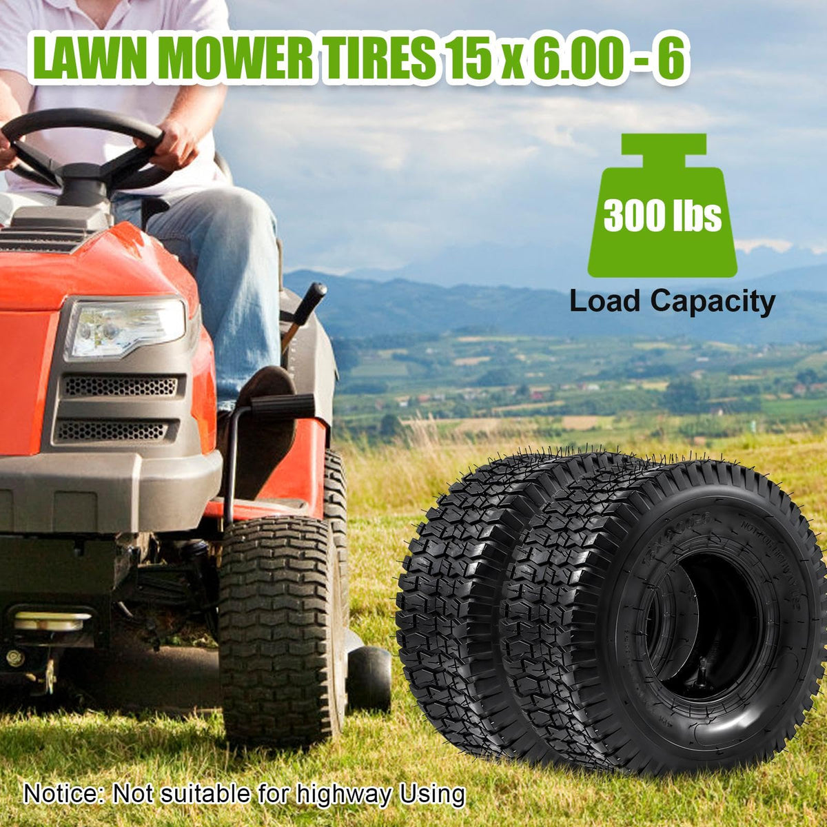 15x6.00-6 Lawn Mower Tire and Inner Tube 2PCS L243