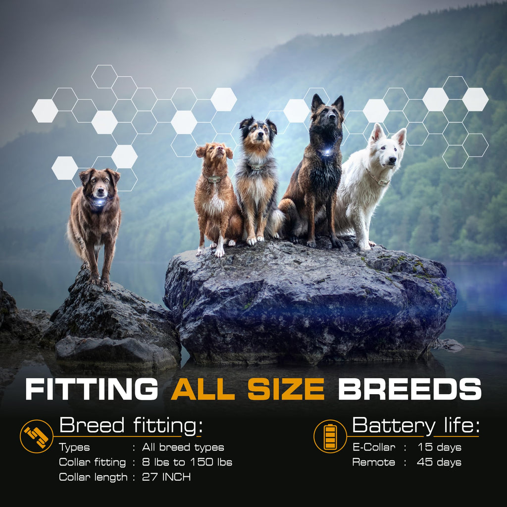 Dog Training Collar with Remote E76751