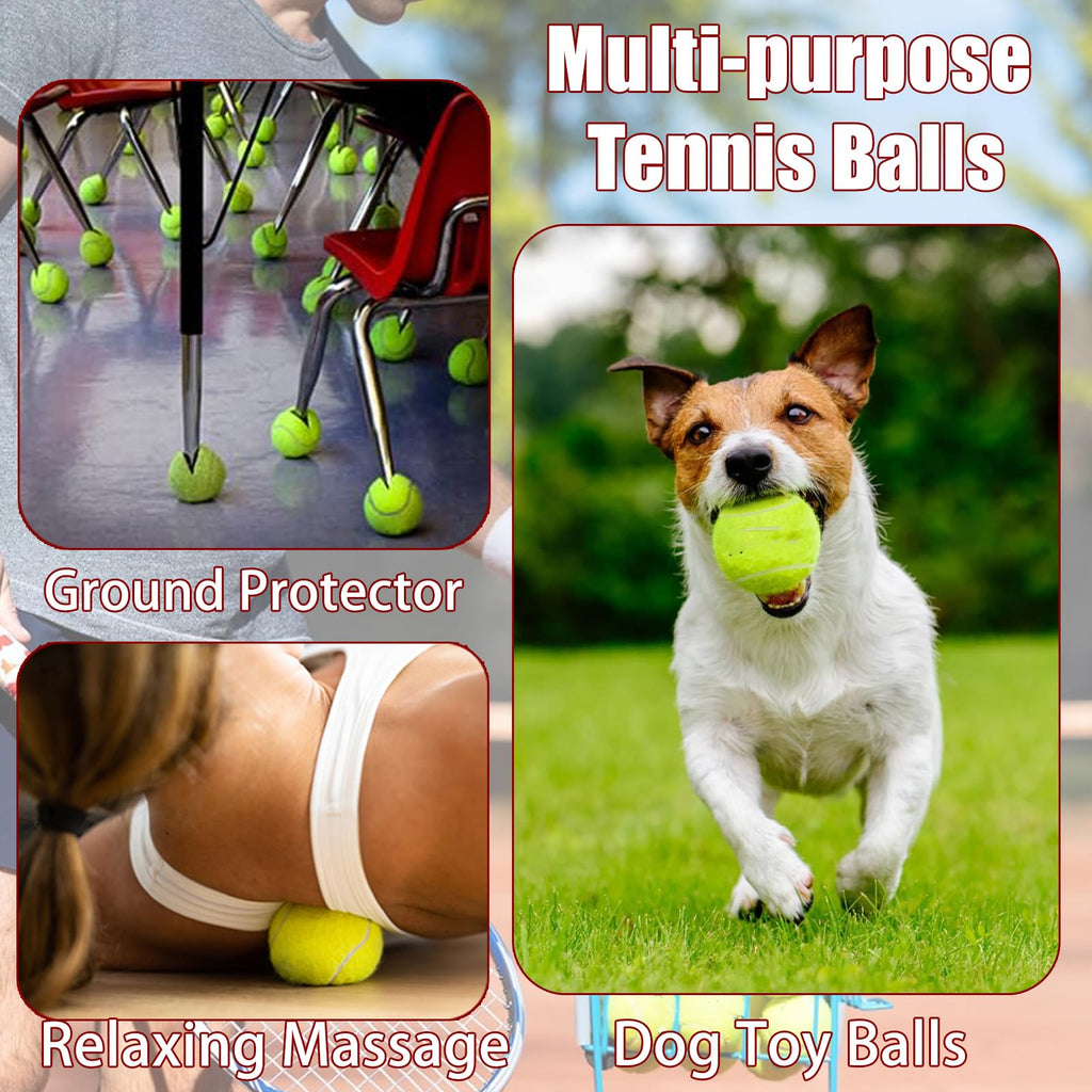 Tennis Ball 30/60 Bulk Pack V811