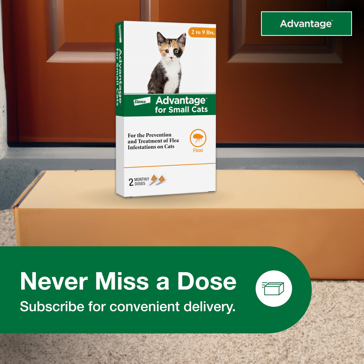 Topical Cat Flea Treatment and Prevention for Small Cats 2-9 lbs I666
