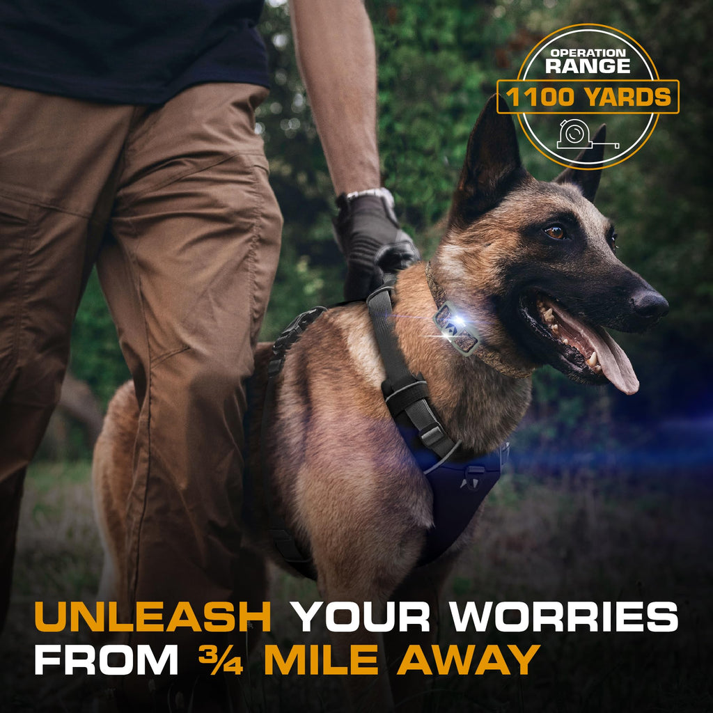 Dog Training Collar with Remote E76751