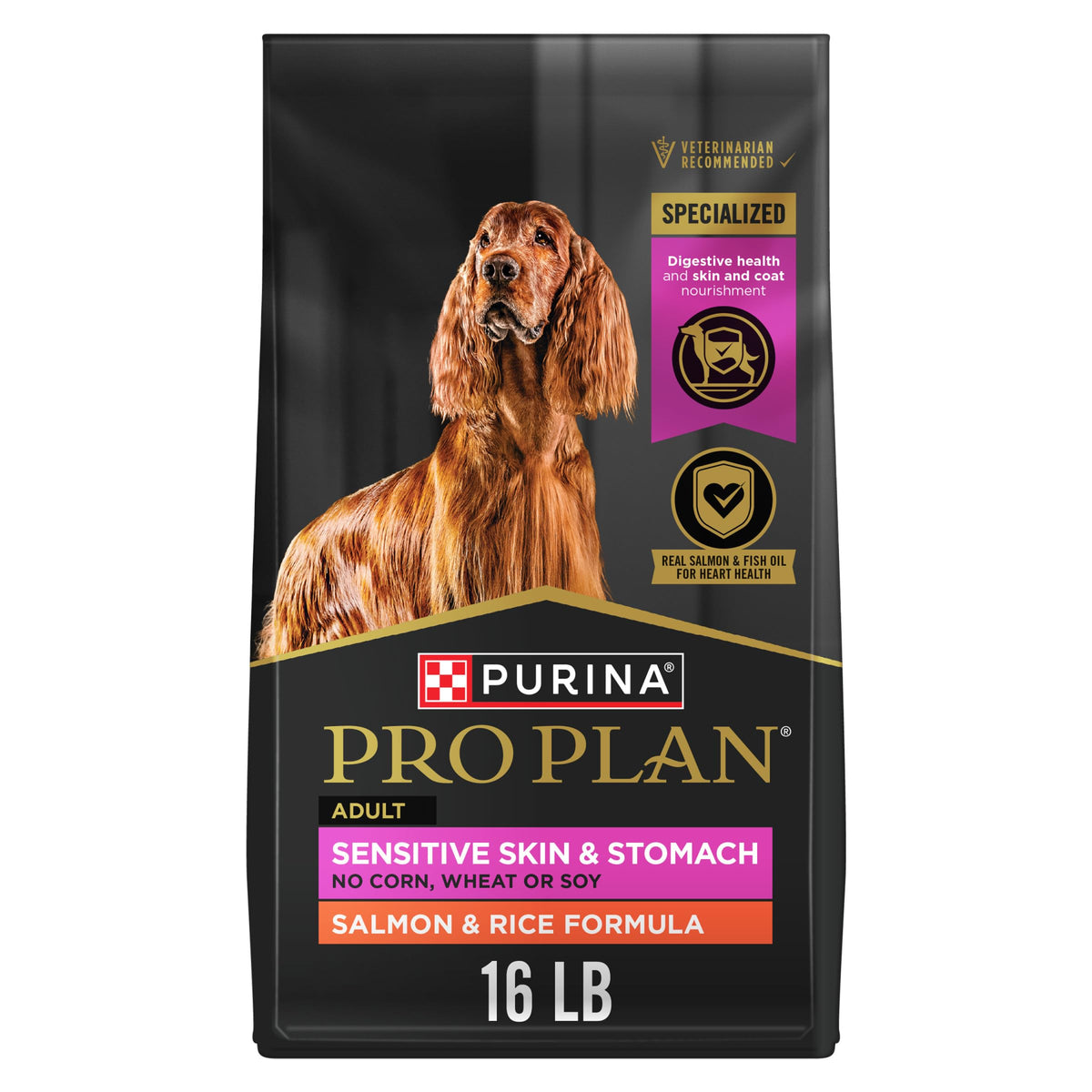 Salmon Dry Dog Food 16 lb Bag F843052