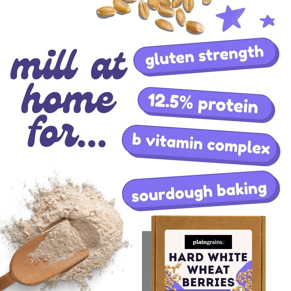 5.5 LB Dry Hard White Wheat Berries Whole Grain N6844