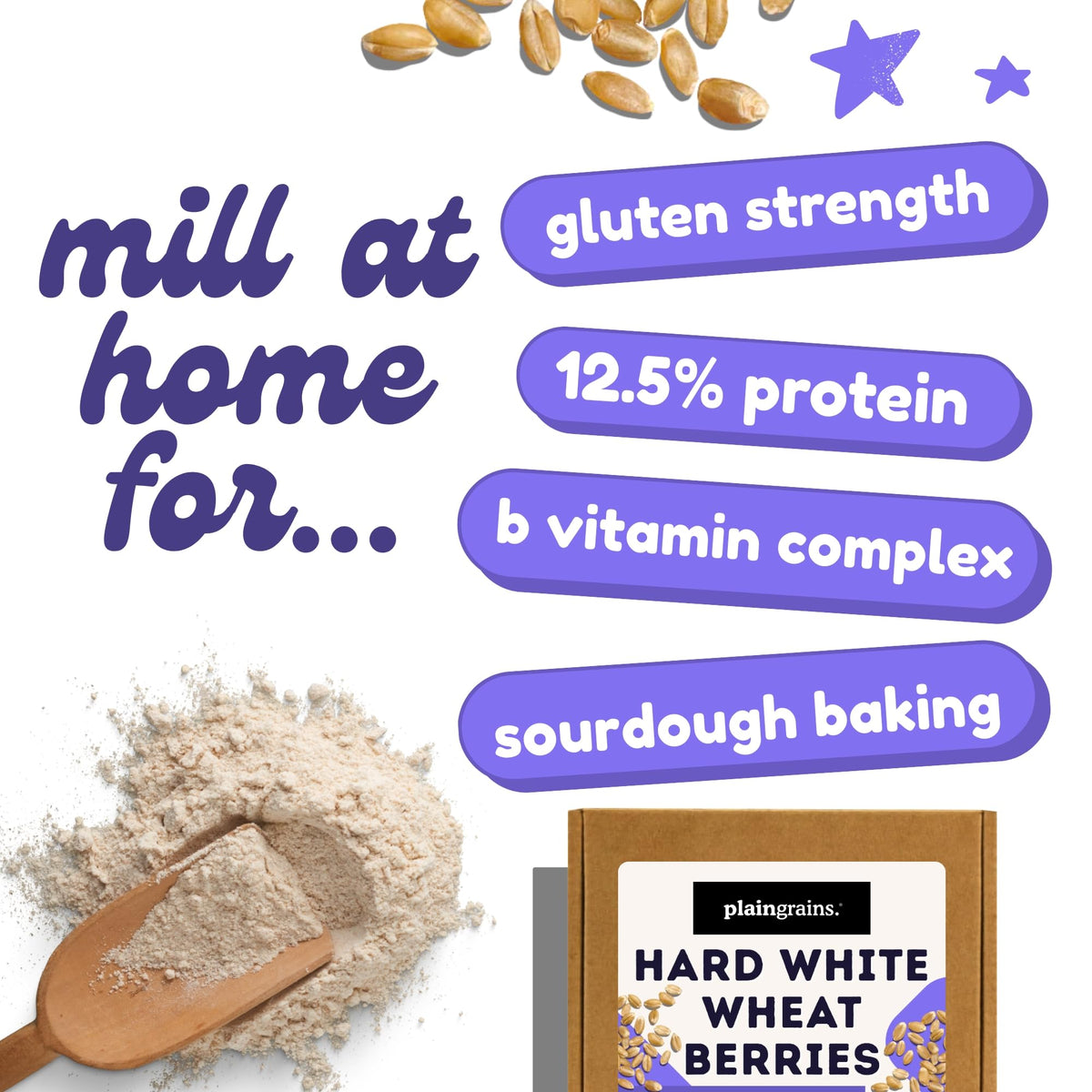 5.5 LB Dry Hard White Wheat Berries Whole Grain N6844