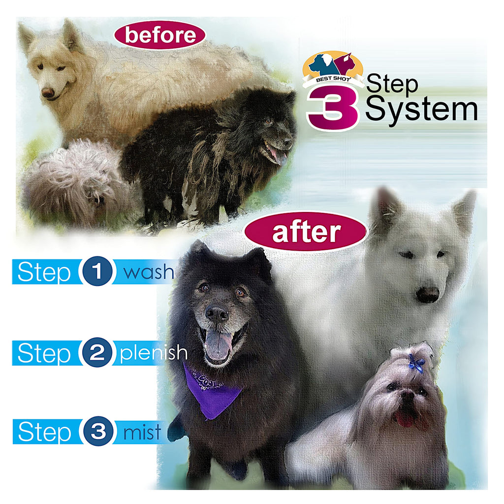 Soap-Free Quick-Rinsing Pet Shampoo 1 Gallon W5611