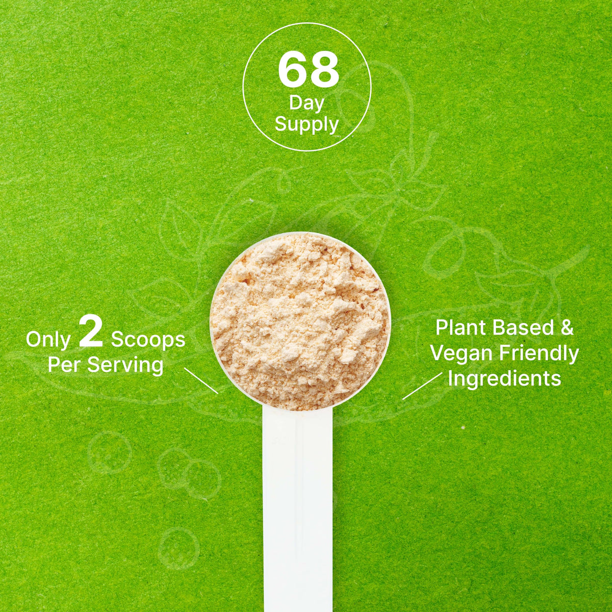 Unflavored Pea Protein Powder 5lbs Isolate Vegan Soy Free M7033